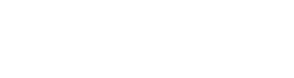 Logo1 1024x273